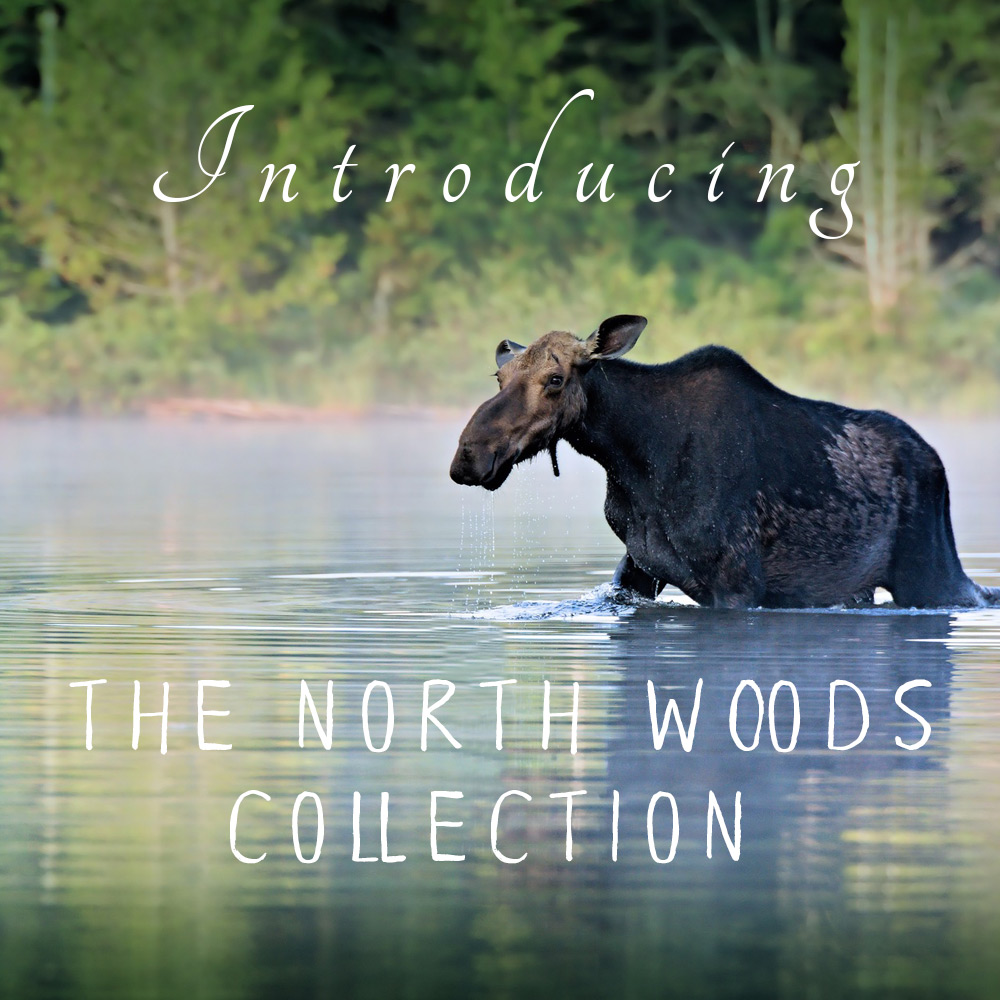 Coming Soon The North Woods Collection