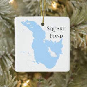Square Pond Ornament displayed on tree